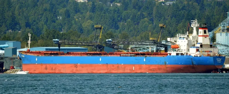 JIN NING 7 Bulk Carrier IMO 9189093 photo 2