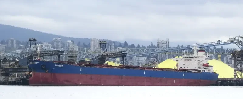JIN NING 7 Bulk Carrier IMO 9189093 photo 3
