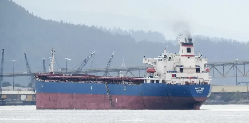 JIN NING 7 Bulk Carrier IMO 9189093 photo 5