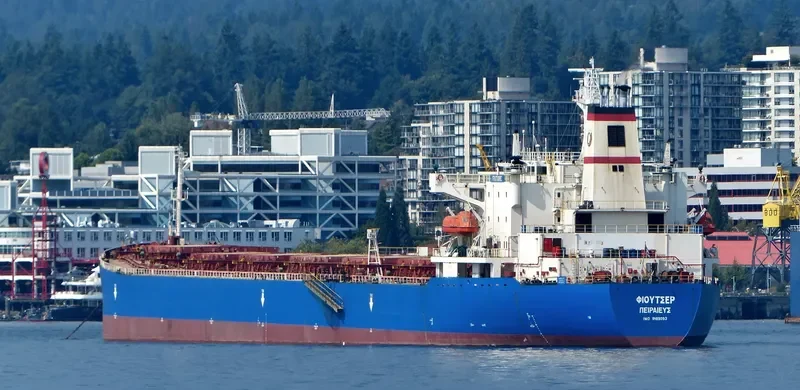 JIN NING 7 Bulk Carrier IMO 9189093 photo 6