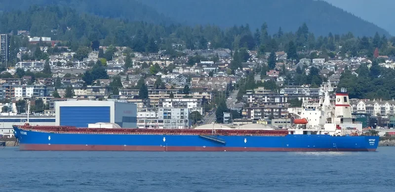 JIN NING 7 Bulk Carrier IMO 9189093 photo 7