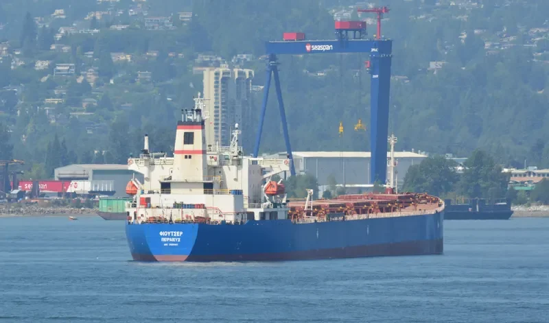JIN NING 7 Bulk Carrier IMO 9189093 photo 8