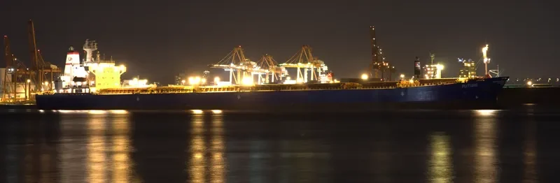 JIN NING 7 Bulk Carrier IMO 9189093 photo 10