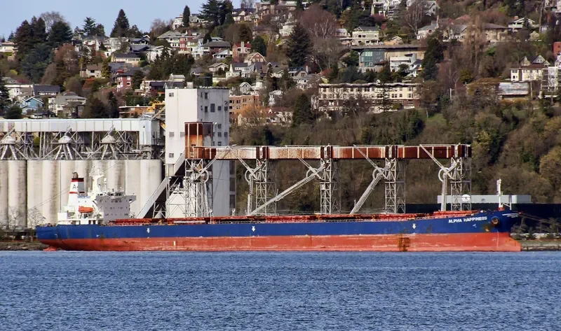 JIN NING 17 Bulk Carrier IMO 9189108 photo 4