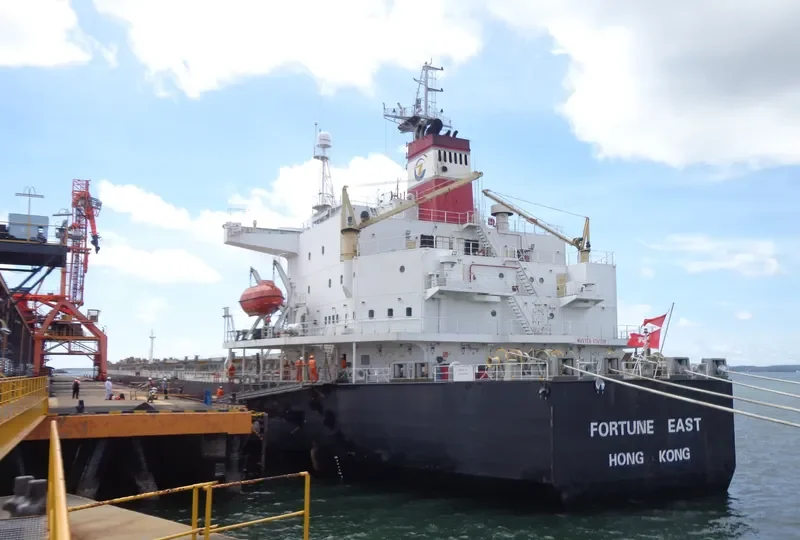 TIAN HAO 17 Bulk Carrier IMO 9189213 photo 6