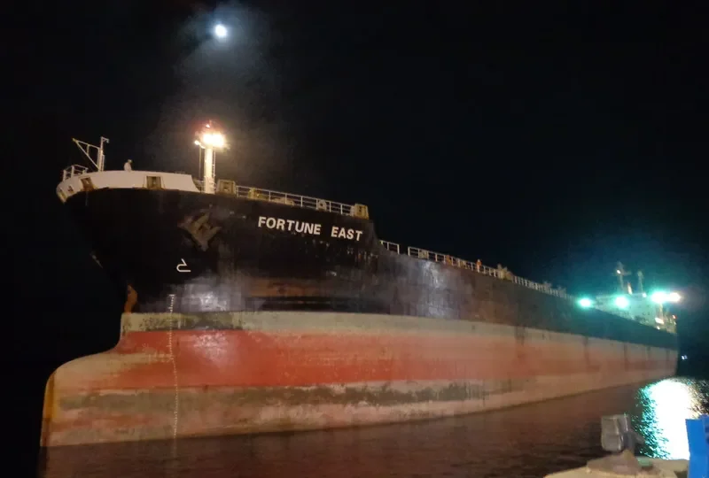 TIAN HAO 17 Bulk Carrier IMO 9189213 photo 7