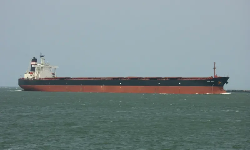 CAPE TAVOR Bulk Carrier IMO 9189249 photo 5