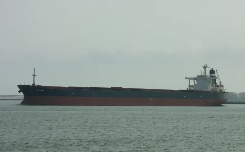 CAPE TAVOR Bulk Carrier IMO 9189249 photo 6