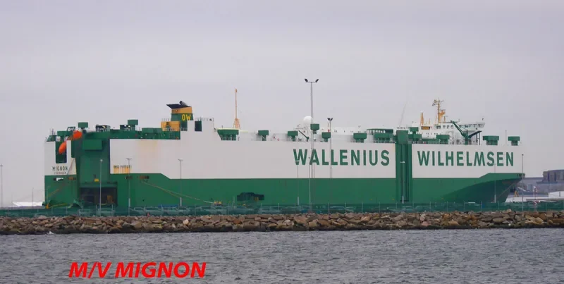 MIGNON General Cargo IMO 9189251 photo 8