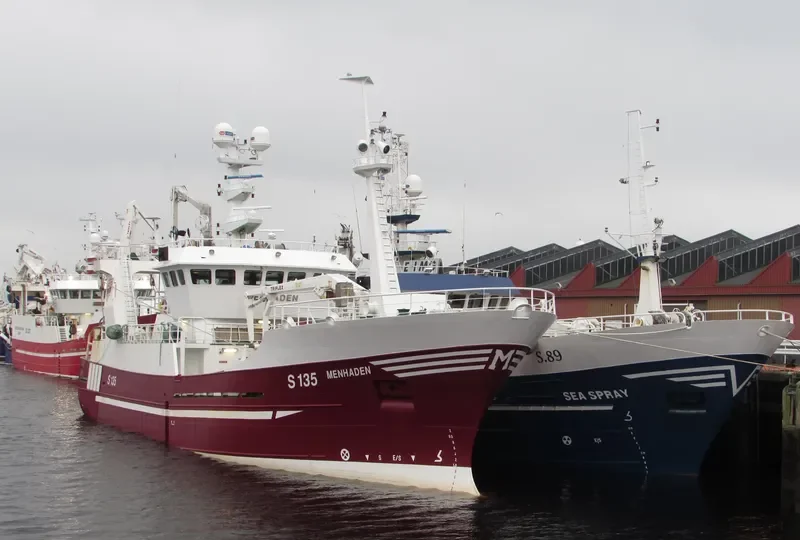 MENHADEN General Cargo IMO 9189330 photo 9