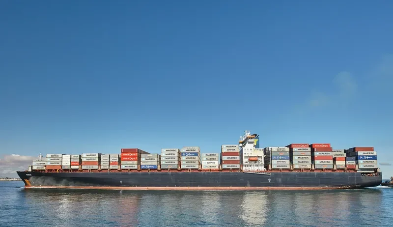 TASMAN Container Ship IMO 9189342