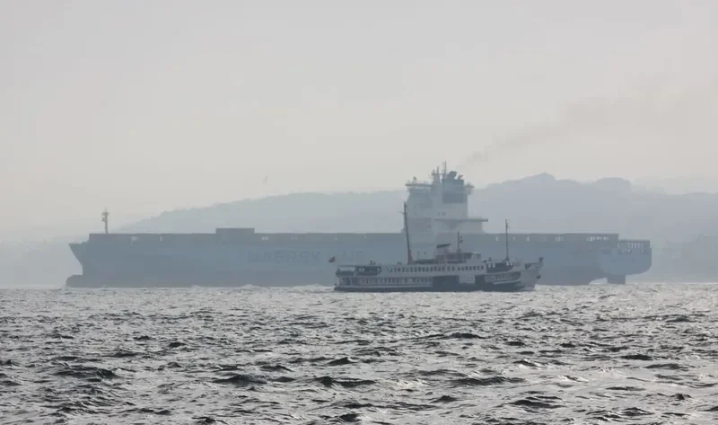 MSC TAVVISHI Container Ship IMO 9189366 photo 3