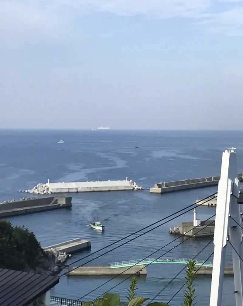 CELEBRITY MILLENNIUM Passenger Ship IMO 9189419 photo 8