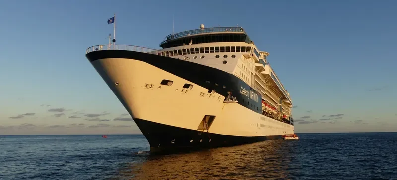 CELEBRITY INFINITY Passenger Ship IMO 9189421 photo 4