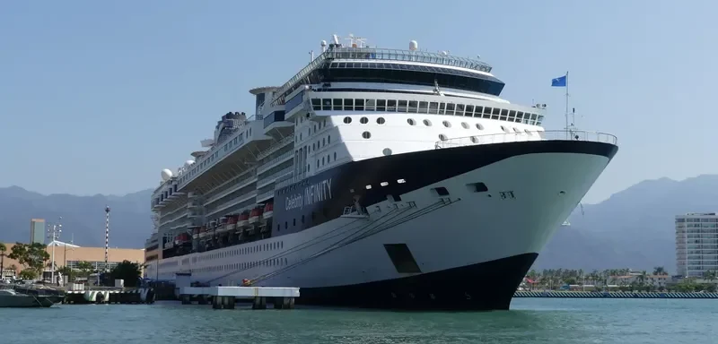 CELEBRITY INFINITY Passenger Ship IMO 9189421 photo 7