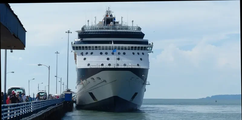 CELEBRITY INFINITY Passenger Ship IMO 9189421 photo 8