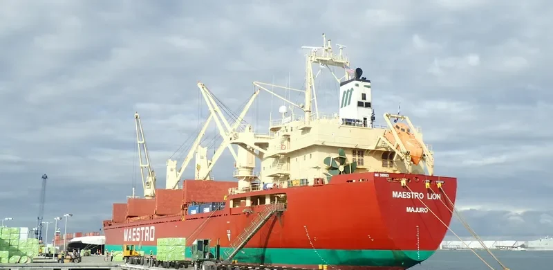 H SEALION Bulk Carrier IMO 9189665