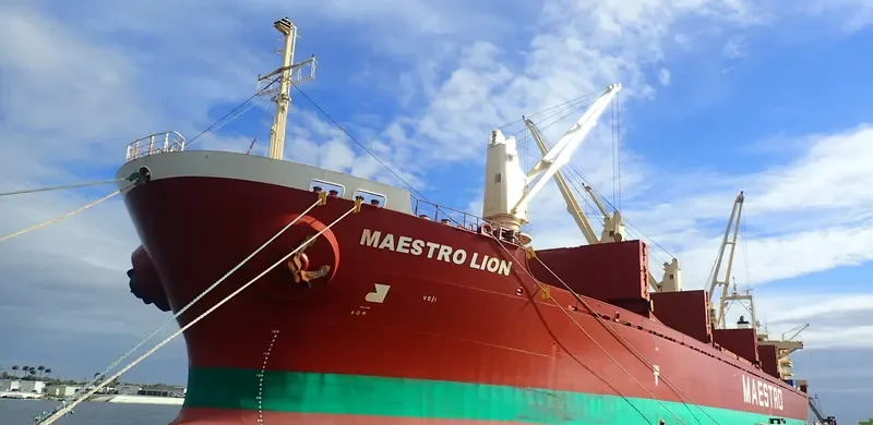 H SEALION Bulk Carrier IMO 9189665 photo 2