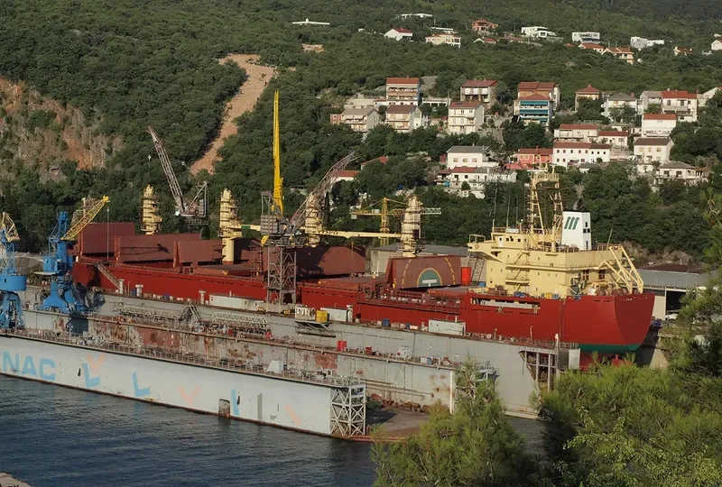 H SEALION Bulk Carrier IMO 9189665 photo 3