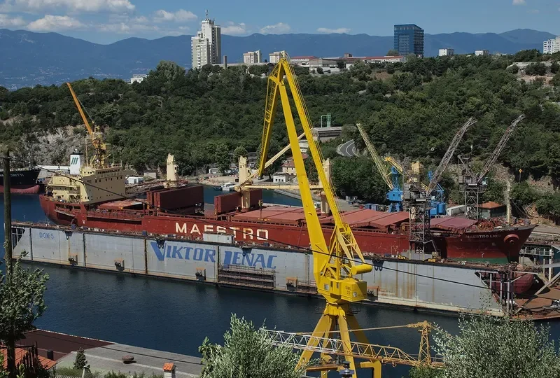 H SEALION Bulk Carrier IMO 9189665 photo 4
