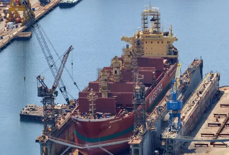 H SEALION Bulk Carrier IMO 9189665 photo 5