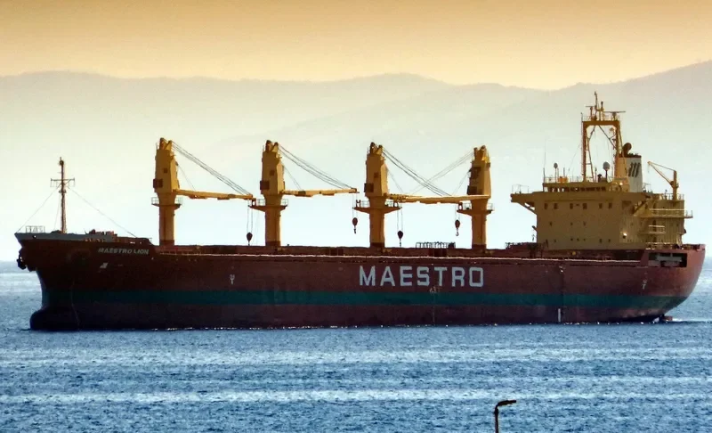 H SEALION Bulk Carrier IMO 9189665 photo 6