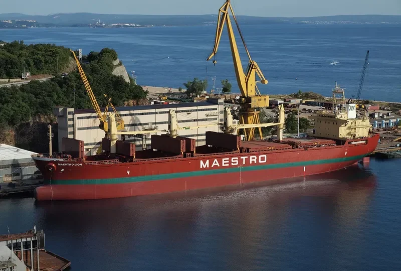 H SEALION Bulk Carrier IMO 9189665 photo 7