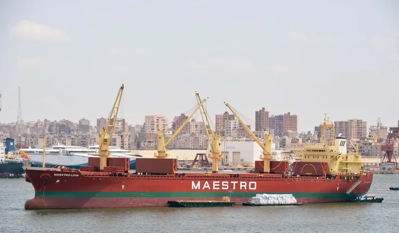 H SEALION Bulk Carrier IMO 9189665 photo 8