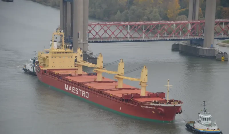 H SEALION Bulk Carrier IMO 9189665 photo 9