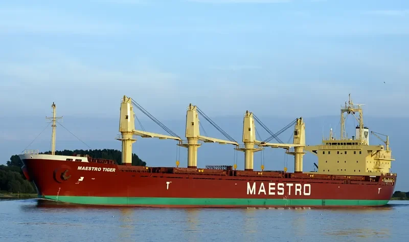 ALANDA STAR Bulk Carrier IMO 9189677 photo 4