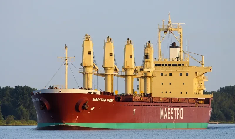 ALANDA STAR Bulk Carrier IMO 9189677 photo 5