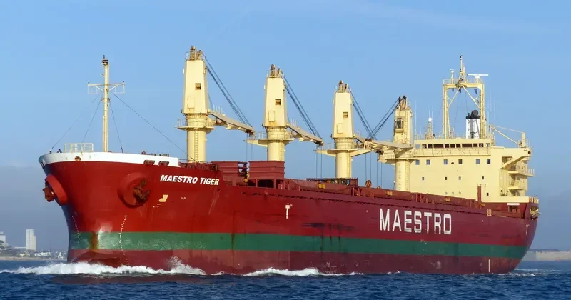 ALANDA STAR Bulk Carrier IMO 9189677 photo 6