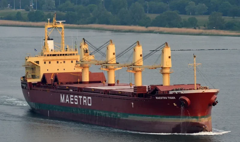 ALANDA STAR Bulk Carrier IMO 9189677 photo 8