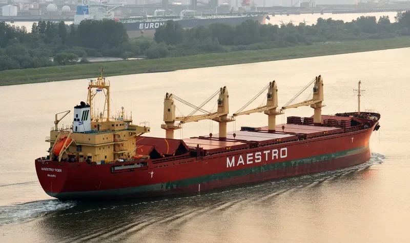 ALANDA STAR Bulk Carrier IMO 9189677 photo 9