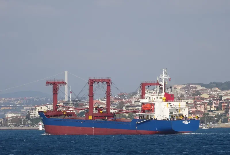 MAMBA B General Cargo IMO 9189706