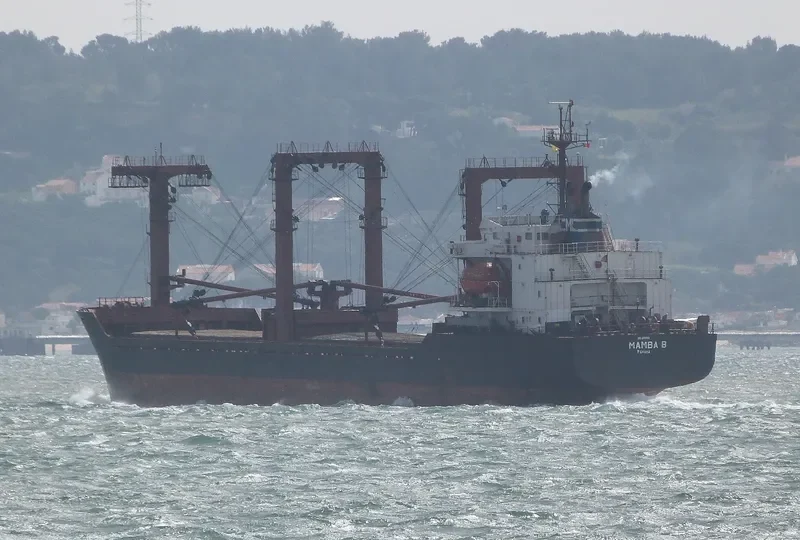 MAMBA B General Cargo IMO 9189706 photo 4