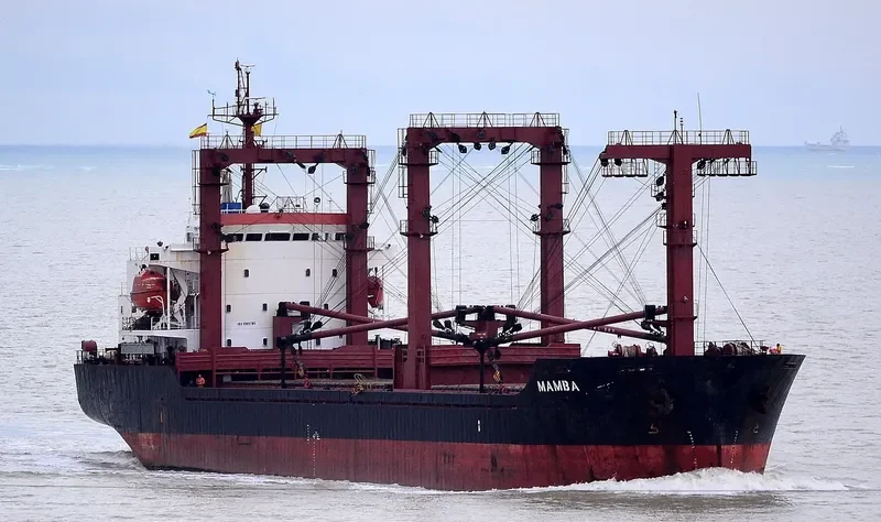 MAMBA B General Cargo IMO 9189706 photo 8