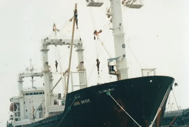 BAO WANG General Cargo IMO 9189720 photo 2
