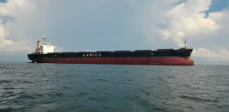 YIN HE DIAO YU DAO Bulk Carrier IMO 9189768