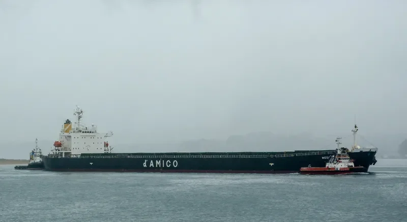 YIN HE DIAO YU DAO Bulk Carrier IMO 9189768 photo 4