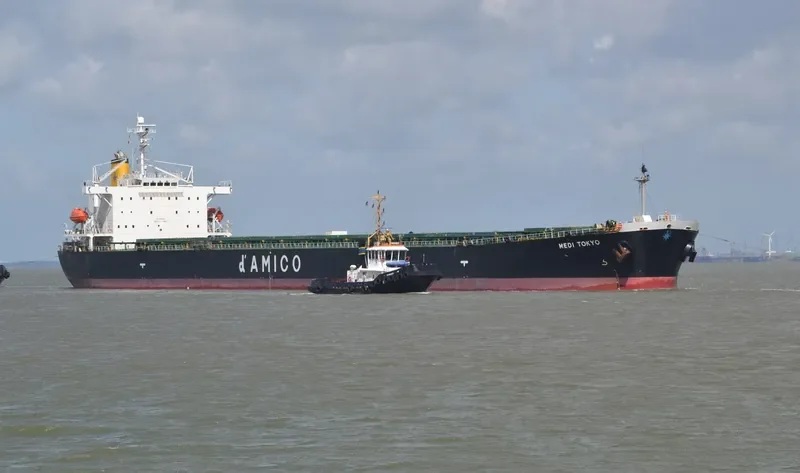 YIN HE DIAO YU DAO Bulk Carrier IMO 9189768 photo 5