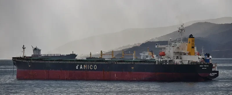 YIN HE DIAO YU DAO Bulk Carrier IMO 9189768 photo 7