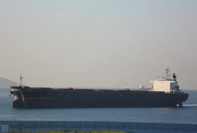 CHRISTINA IV Bulk Carrier IMO 9189770 photo 2