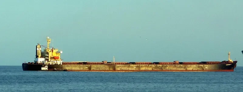 CHRISTINA IV Bulk Carrier IMO 9189770 photo 4