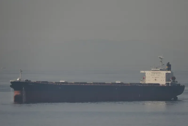 MARBELLA Bulk Carrier IMO 9189782 photo 2