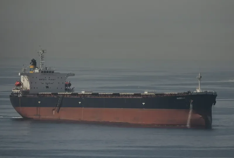 MARBELLA Bulk Carrier IMO 9189782 photo 3