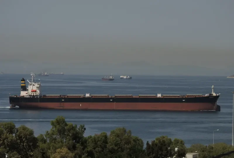 MARBELLA Bulk Carrier IMO 9189782 photo 4