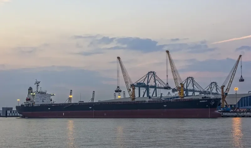 MARBELLA Bulk Carrier IMO 9189782 photo 8