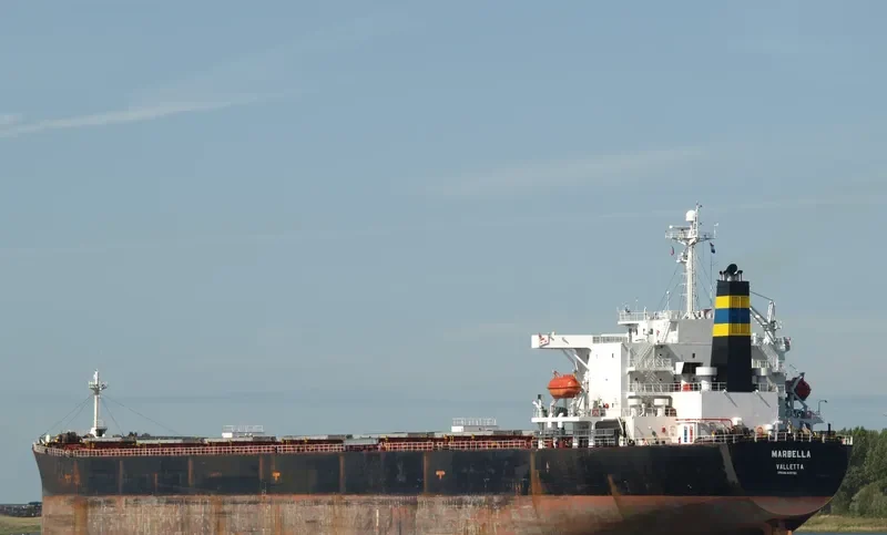 MARBELLA Bulk Carrier IMO 9189782 photo 9