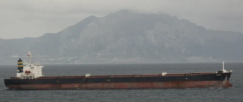 MARBELLA Bulk Carrier IMO 9189782 photo 10